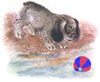 Евгений Чарушин иллюстрации про Томку