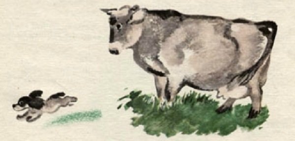 Е.Чарушин «большие и маленькие», «про Томку»