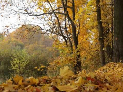 Славная осень Некрасов иллюстрации