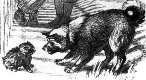 Осеева плохо раскраска