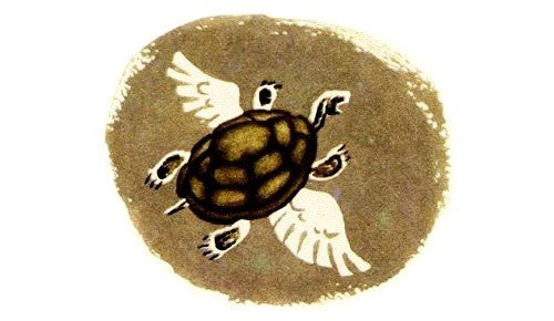 Черепахи сен Санс