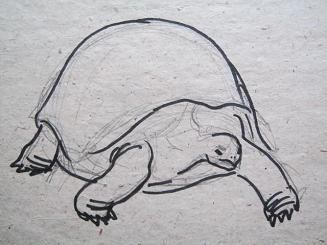 Лев пять дней из жизни черепахи