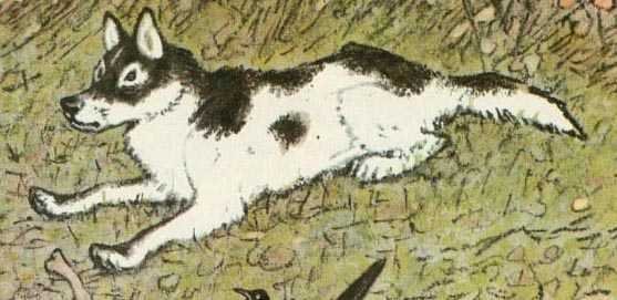 Иллюстрации к рассказу выскочка Пришвина