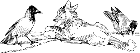 Выскочка раскраска для детей