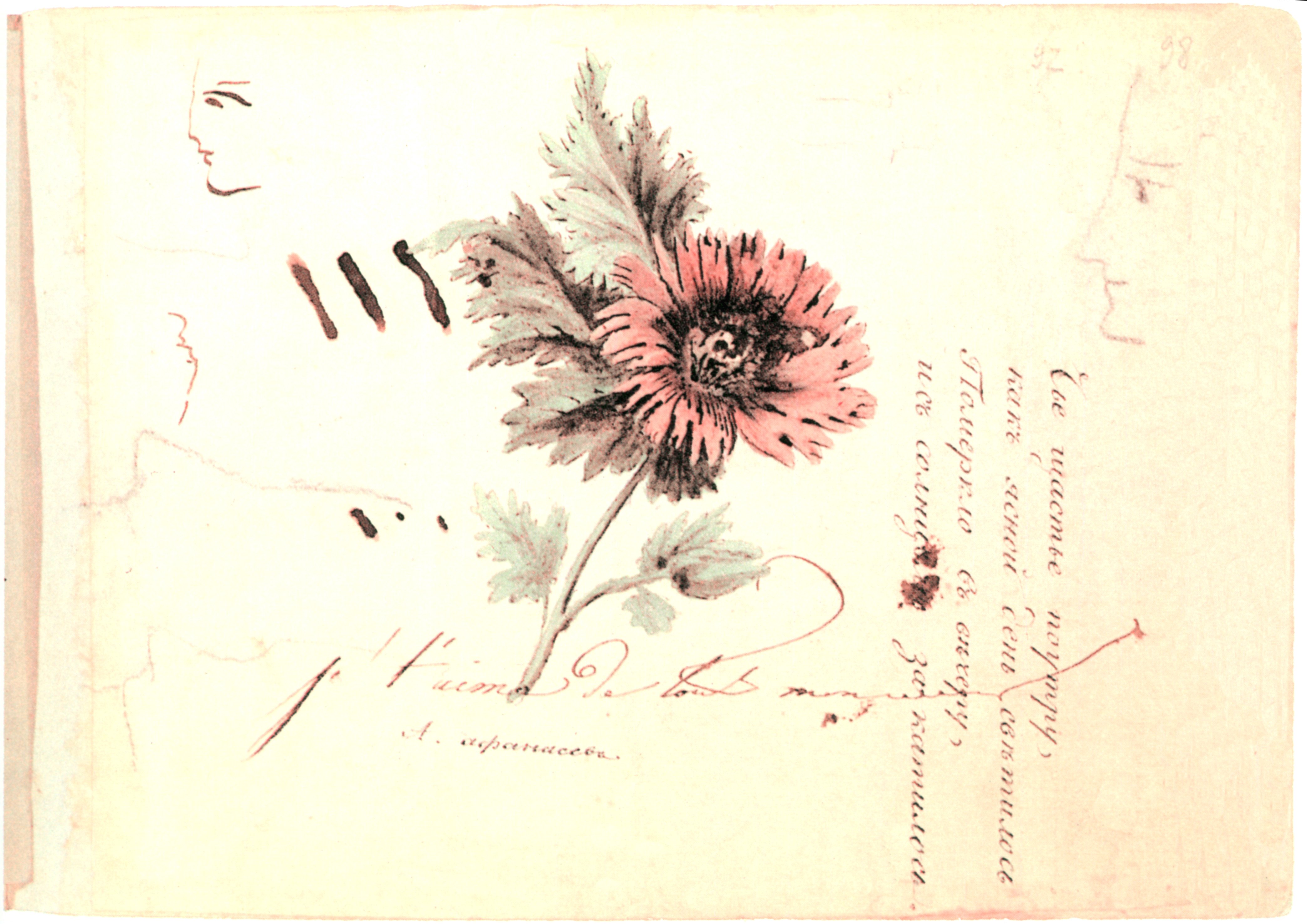 Пушкин цветок стихотворение
