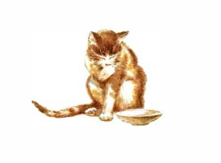 Кошки Чарушина