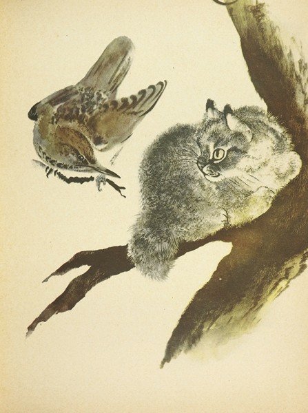 Чарушин кошка Маруська