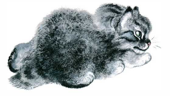 Евгений Чарушин кошка Маруська