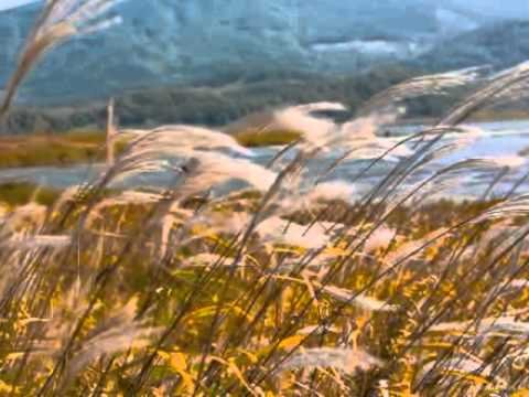 Некрасов поздняя осень