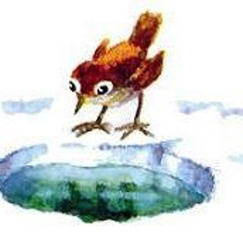 Сумасшедшая птица Бианки