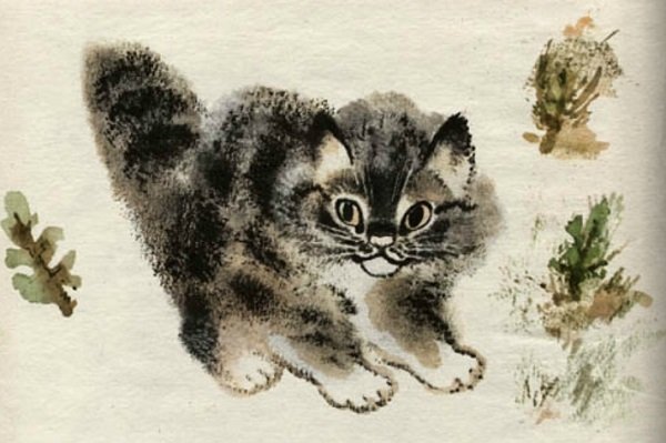 Чарушин кот Тюпа