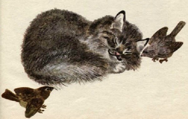 Чарушин Пунька и птицы