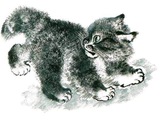 Тюпа маленький Чарушин