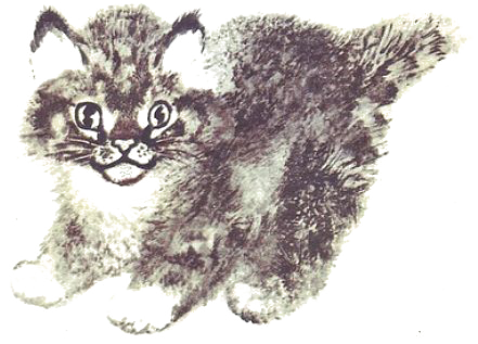 Чарушин Евгений Иванович кошки