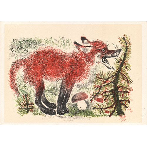 Е Чарушин большие и маленькие