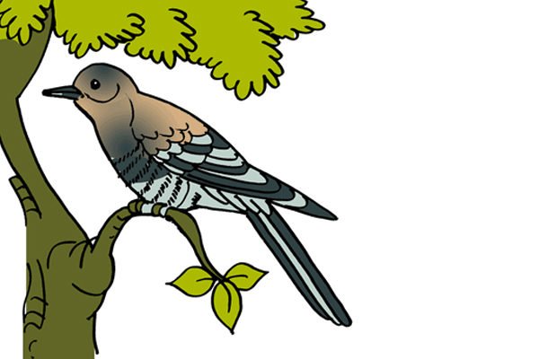 Кукушонок мультяшный