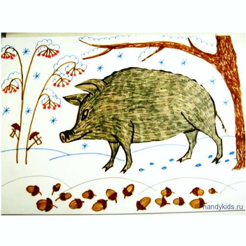 Чарушин кабан иллюстрации