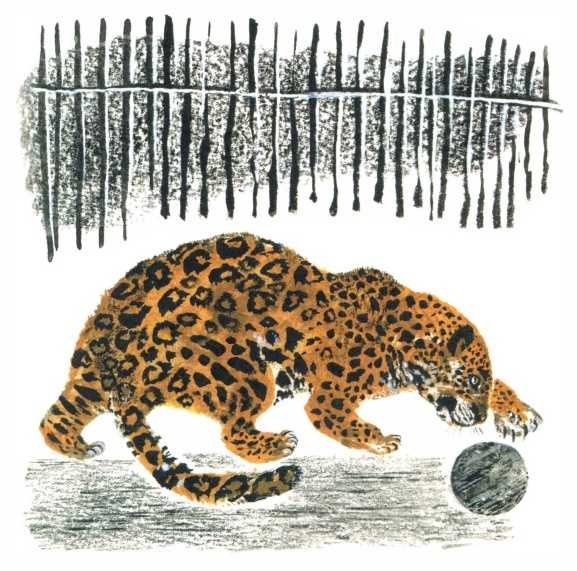 Е И Чарушин кабан