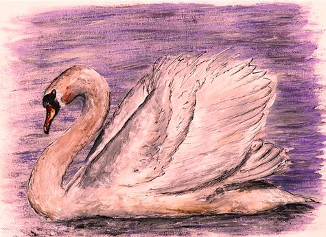 Даррелл Буш лебеди