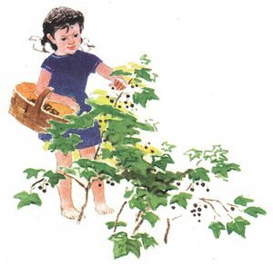 Евгений ПЕРМЯК "Смородинка"