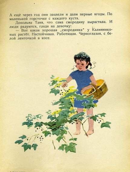 Иллюстрации к книге ПЕРМЯК Смородинка