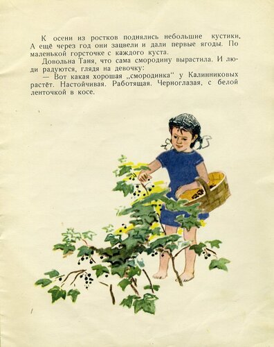 Смородинка Евгений ПЕРМЯК книга