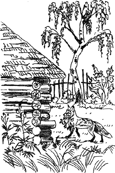 Заботливая мамаша Скребицкий иллюстрации