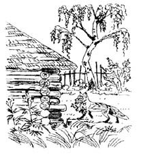 Николай Сладков лиса плясунья