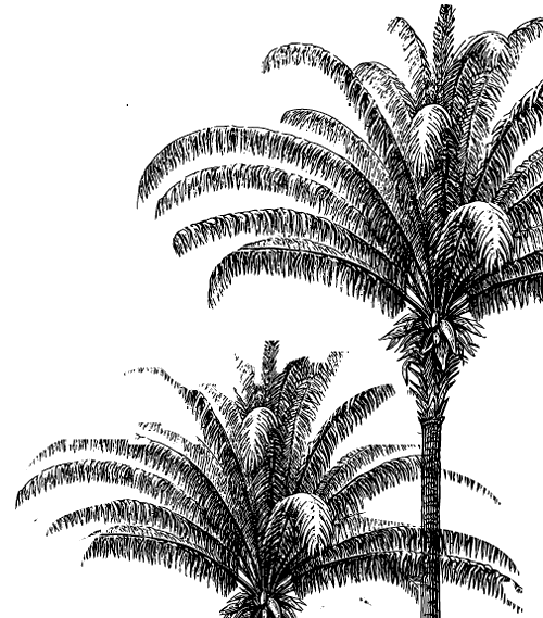 Сказка атталея принцепс