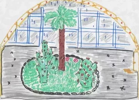 Attalea princeps Гаршин