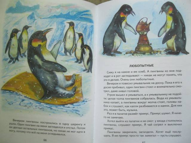 Чтение рассказов про пингвинов снегирева в старшей. Про пингвинов Снегирев книга. Г Снегирев Пингвиний пляж.