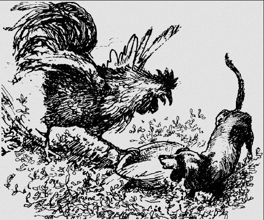 Жильцы старого дома Паустовский