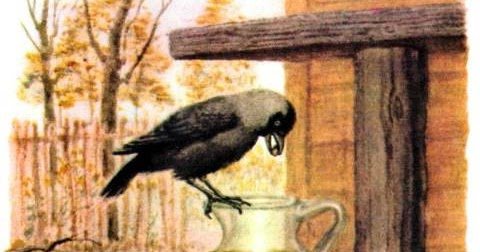 Иллюстрация к рассказу галка хочет пить (47 фото)