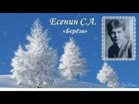 Сергей Есенин поёт зима аукает