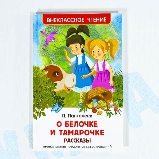 Рисунок к рассказу Пантелеев рассказы о белочке и Тамарочке