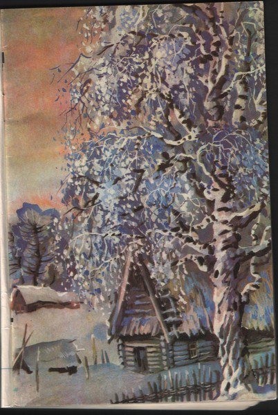 Зимняя береза под окном