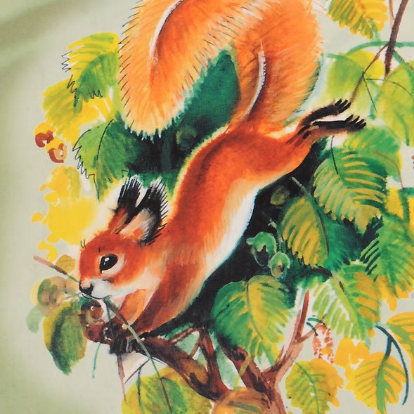 Пришвина этажи леса