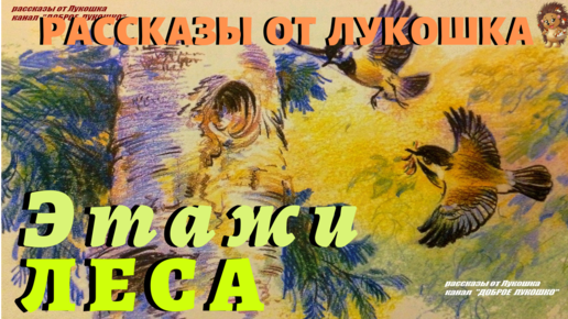 Николай Сладков русские сказки о природе