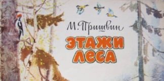 М. Пришвина «этажи леса»