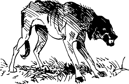 Скребицкий Георгий Алексеевич Джек