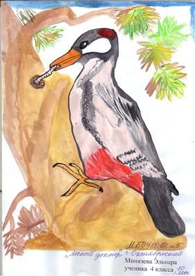 Лесной доктор пришвин иллюстрации