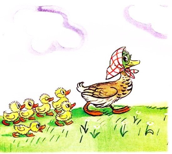 Речку переплыли Ровно в полминутки цыпленок