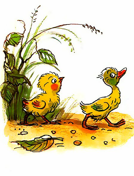 Сказки Сутеева цыпленок и утенок