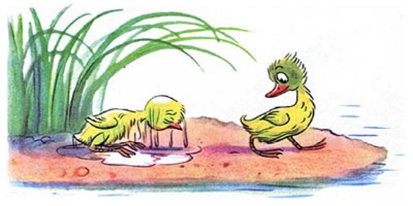 Сказки Сутеева цыпленок и утенок