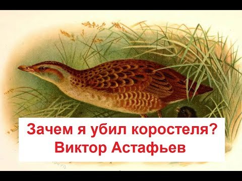 Зачем я убил коростеля