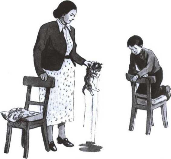 Живая шляпа Носова