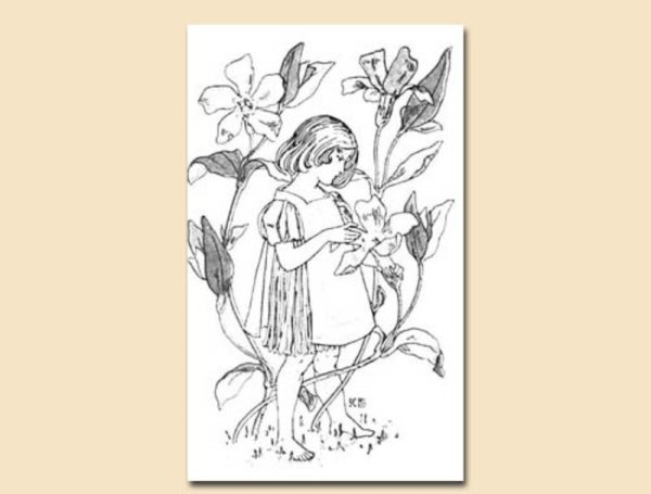 Платонов земля читательского дневника. Неизвестный цветок рисунок. Рисунок неизвестного цветка. Иллюстрация к произведению неизвестный цветок. Неизвестный цветок Платонов иллюстрации.