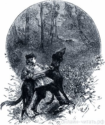 Старый дед и внучек толстой