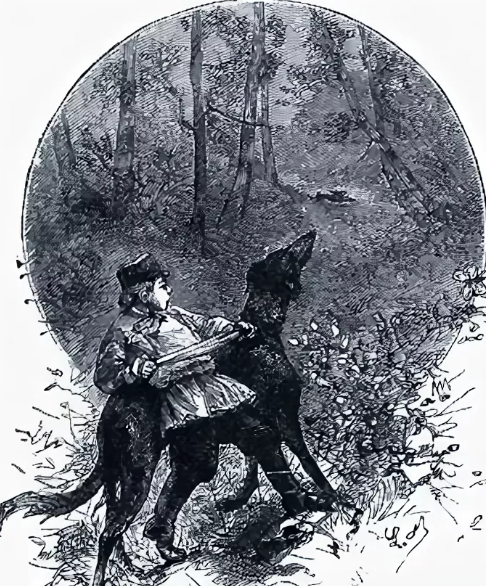 Сонечка Валахина детство толстой