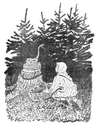 Пришвин кладовая солнца иллюстрации